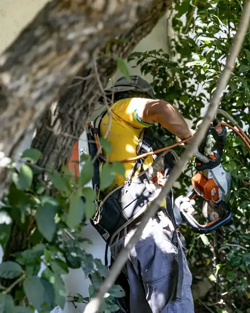 Aziende Brand - aziende-03